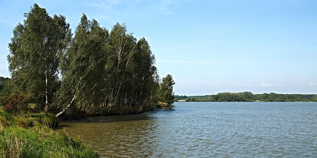 rybník na Třeboňsku